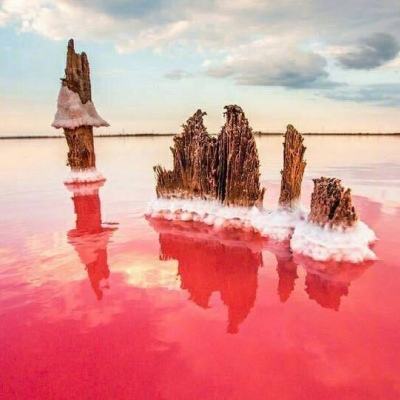 马德兴谈浙江队：传控这时还有意义吗，简单粗暴的招术也打不出来