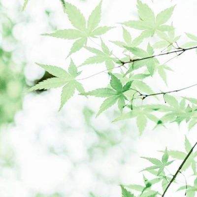 收评：午后超重磅利好 恒指涨4.16% 恒生科指涨7.27%创年内新高 内房股暴涨