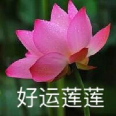 维他奶：“维爱”出发 再启新程